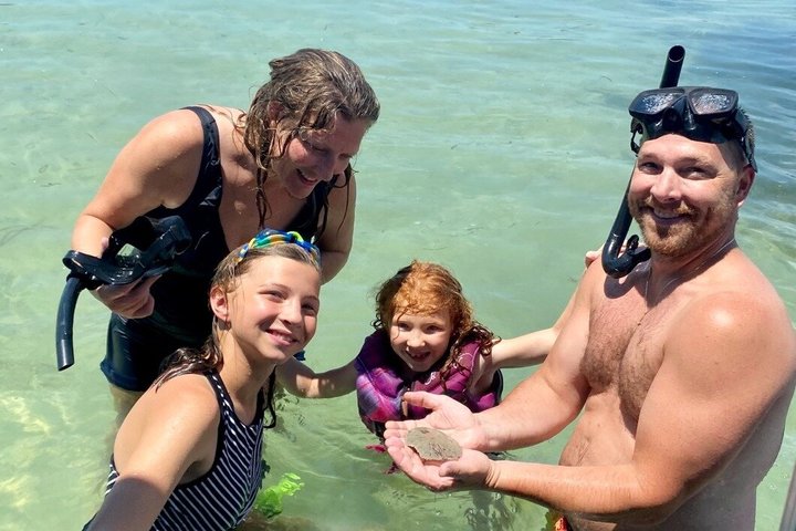 2.5 Hour Shell Key Island Adventure Including Dolphins And Shells