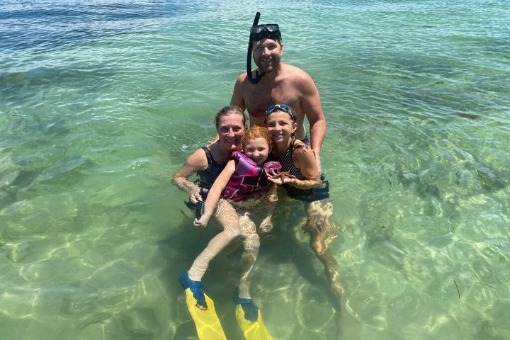 2.5 Hour Shell Key Island Adventure Including Dolphins And Shells