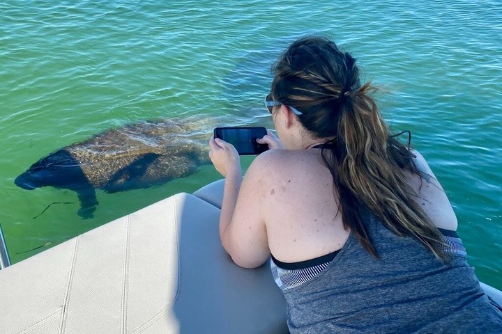 2.5 Hour Shell Key Island Adventure Including Dolphins And Shells