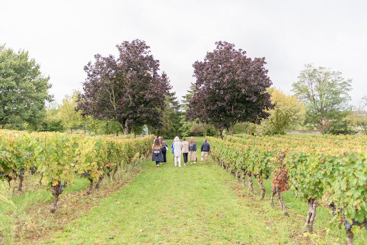 Wine Tasting with the Winemaker at Domaine Beaumont Distré-Saumur