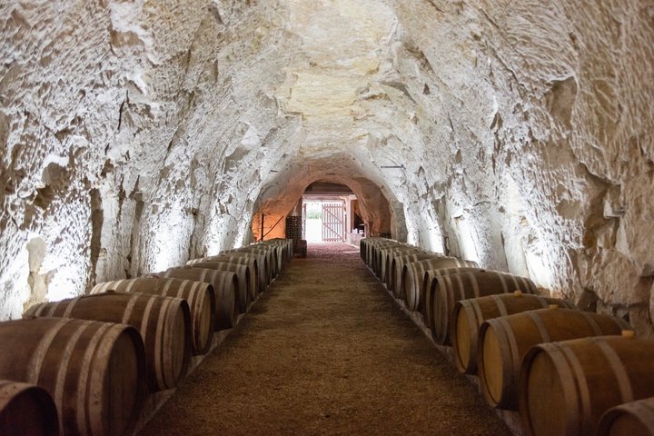 Wine Tasting with the Winemaker at Domaine Beaumont Distré-Saumur