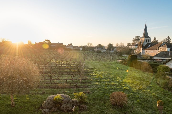 Wine Tasting with the Winemaker at Domaine Beaumont Distré-Saumur