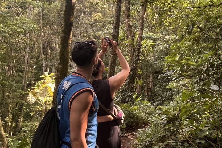 Tetebatu Private Trek Rice Fields Waterfall and Monkey Forest