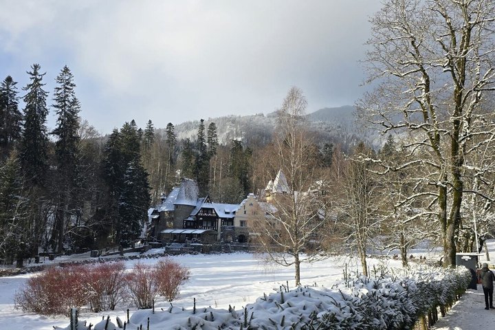 3 Castles Brasov |Mercedes & Hotel Pickup| Peles Bran Cantacuzino
