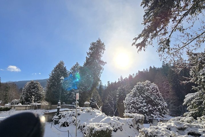 3 Castles Brasov |Mercedes & Hotel Pickup| Peles Bran Cantacuzino