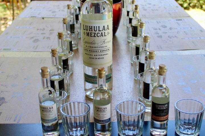 QRO Luhulaa Tasting of handcrafted and ancestral Mezcales