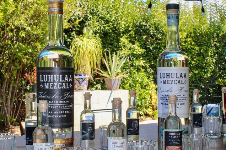 QRO Luhulaa Tasting of handcrafted and ancestral Mezcales