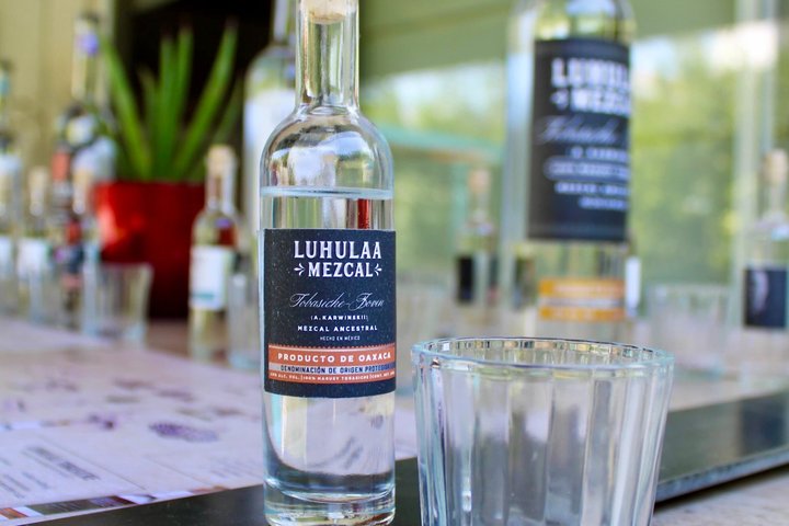 QRO Luhulaa Tasting of handcrafted and ancestral Mezcales