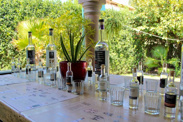 QRO Luhulaa Tasting of handcrafted and ancestral Mezcales