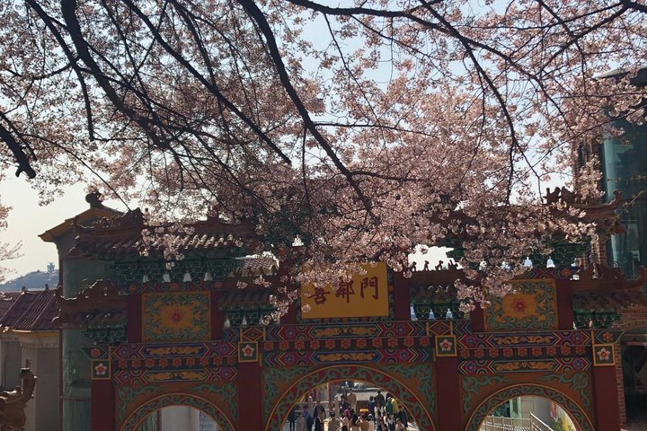 Incheon Cruise Shore Excursion Hidden Gems and Premium K BBQ