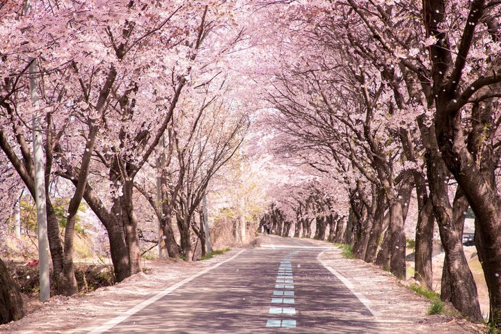 Noboribetsu, Lake Toya and Niseko Day Tour from Sapporo