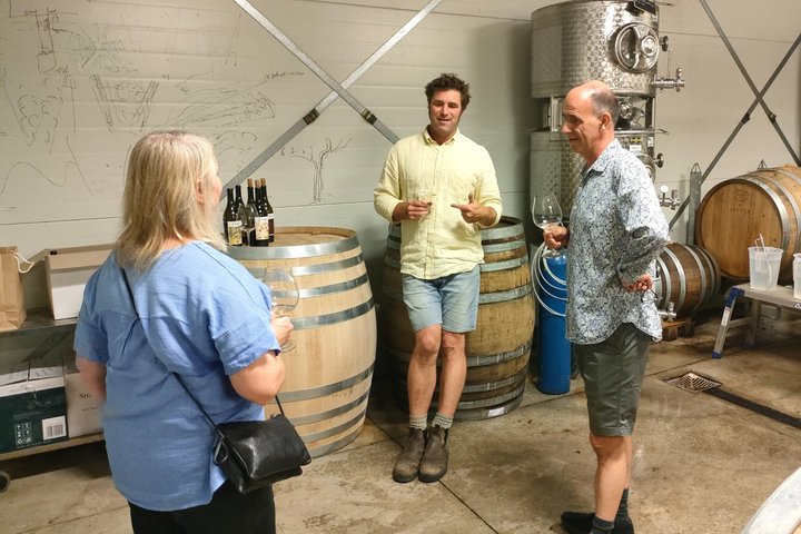 Wairarapa Wine Tour Experience