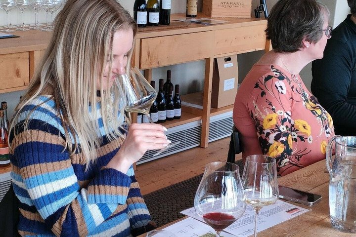 Wairarapa Wine Tour Experience