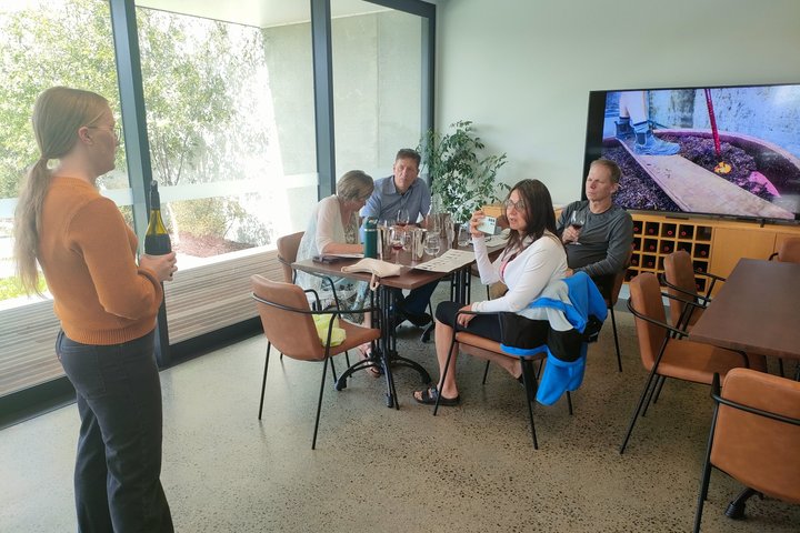 Wairarapa Wine Tour Experience