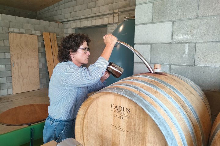 Wairarapa Wine Tour Experience