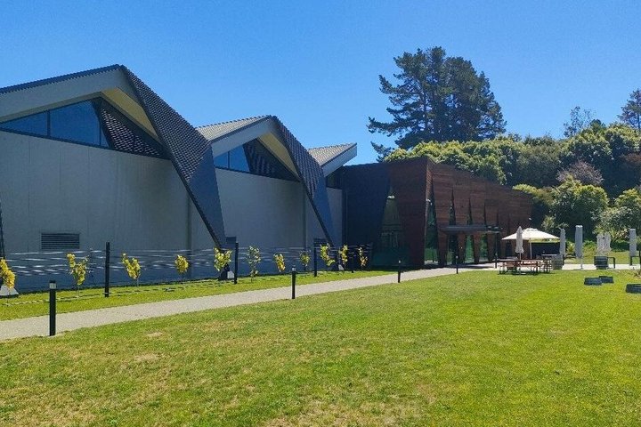 Wairarapa Wine Tour Experience