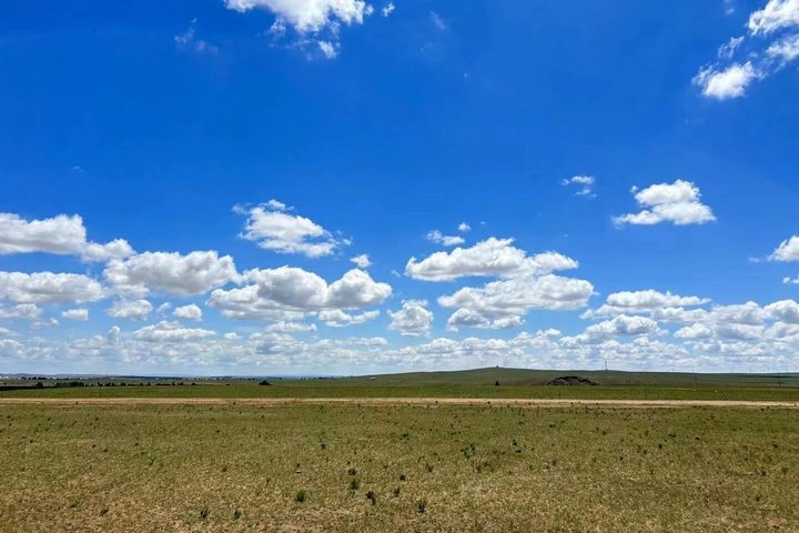Full-Day Private Tour in Xilamuren Grassland with Lunch
