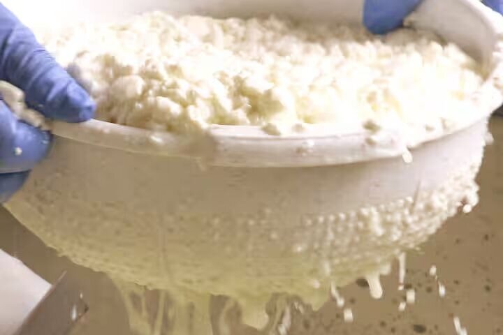 Troodos Mountains Halloumi Making: All Inclusive Workshop & Tour