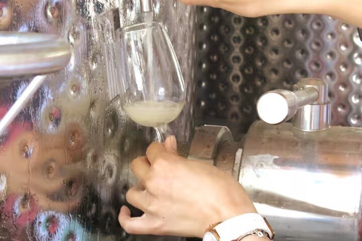 Troodos Mountains Vino Venture: All Inclusive Full Day Wine Tour