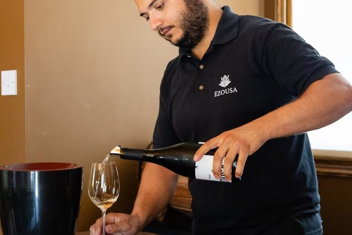 Troodos Mountains Vino Venture: All Inclusive Full Day Wine Tour