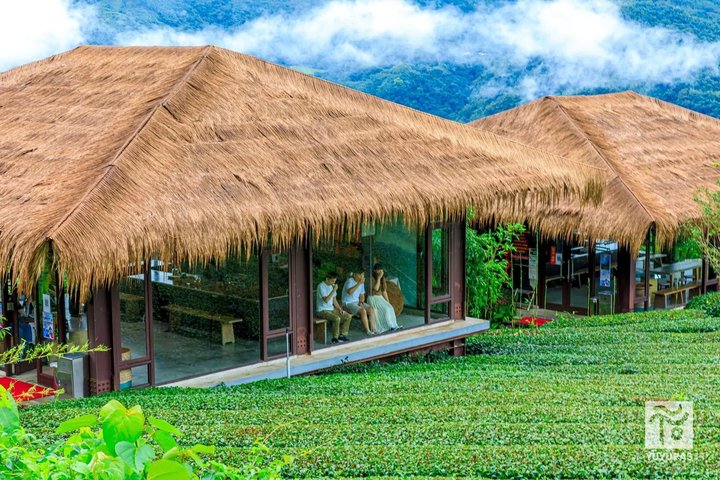 From Taichung/Kaohsiung/Chiayi:Alishan Hidden Gems Private Tour