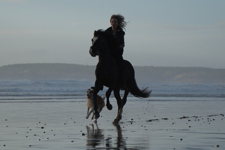 Horseback Riding in Essaouira - Essaouira HorseRiding