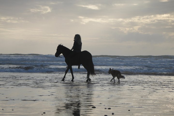 Horseback Riding in Essaouira - Essaouira HorseRiding