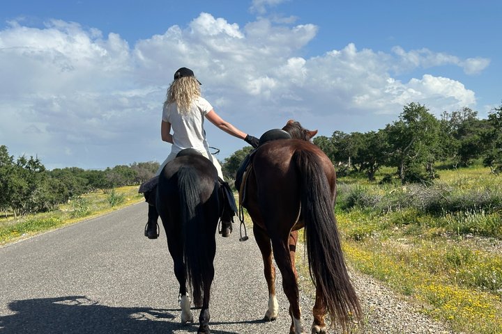 Horseback Riding in Essaouira - Essaouira HorseRiding