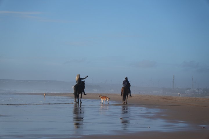 Horseback Riding in Essaouira - Essaouira HorseRiding