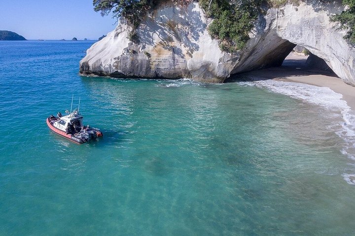 Cathedral Cove Scenic Cruises Explore Caves and Coastline