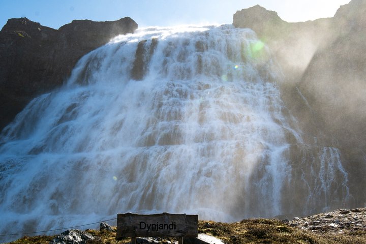 Dynjandi Waterfall & Westfjords Farm Tour from Ísafjörður