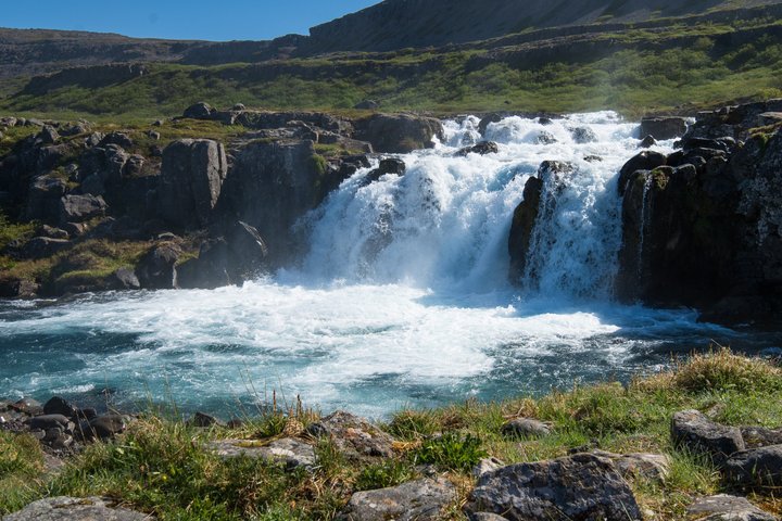 Dynjandi Waterfall & Westfjords Farm Tour from Ísafjörður