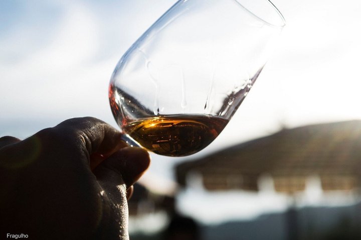 Douro Valley Wine Tour (with the producers)