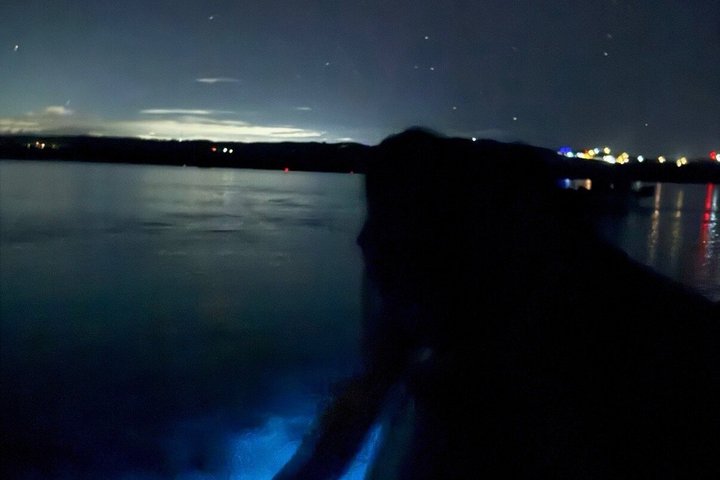 Vieques Puerto Rico Kayak Experience-The World Brightest BioBay