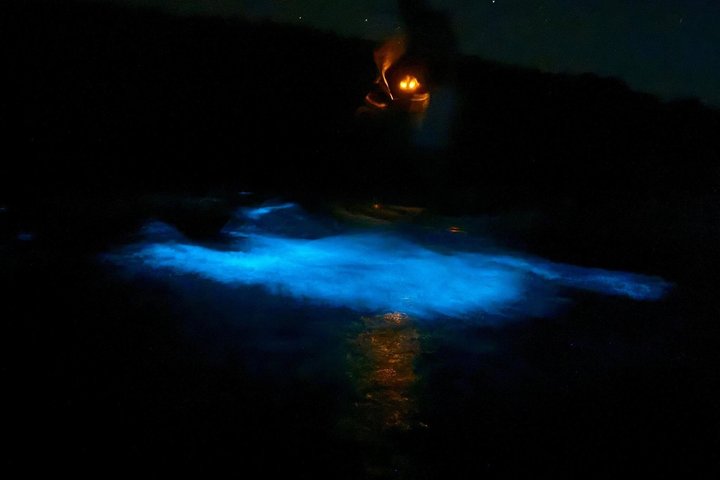 Vieques Puerto Rico Kayak Experience-The World Brightest BioBay