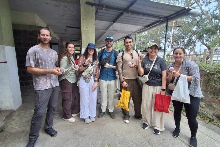 Gods of Mylapore walking tour: Journey Through Living Traditions