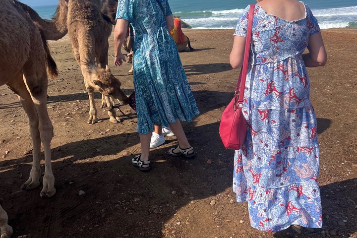 All inclusive Tangier Private day trip from Marbella or Malaga