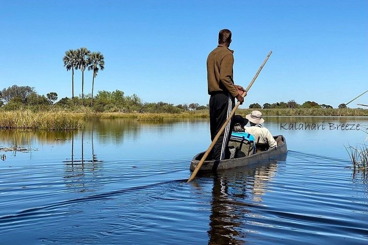 1 Day Okavango Delta Mokoro/Canoe Daytrip