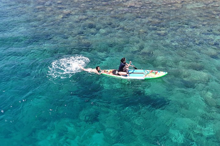 Coral Reef Snorkeling and Floating Bar Party from Nha Trang