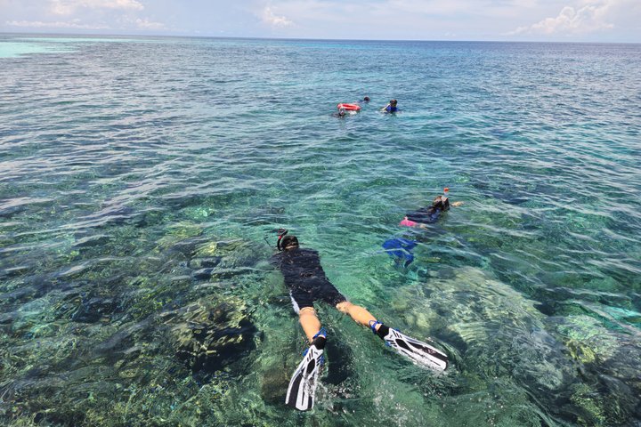 Snorkeling Day Trip Semporna: 3 Locations