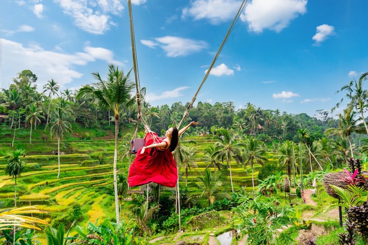 Ubud: Monkey Forest, Rice Terrace, Elephant Cave & Waterfall Tour
