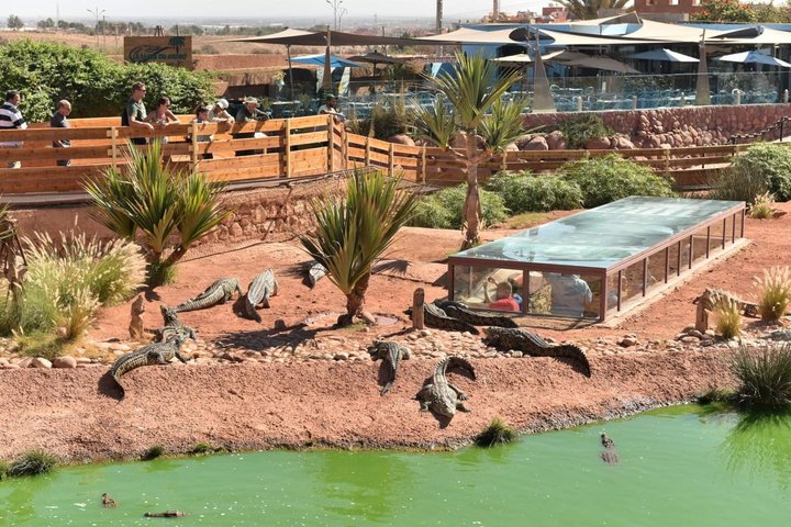 agadir crocoparc tickets with pick-up and return transfer All-Inclusive