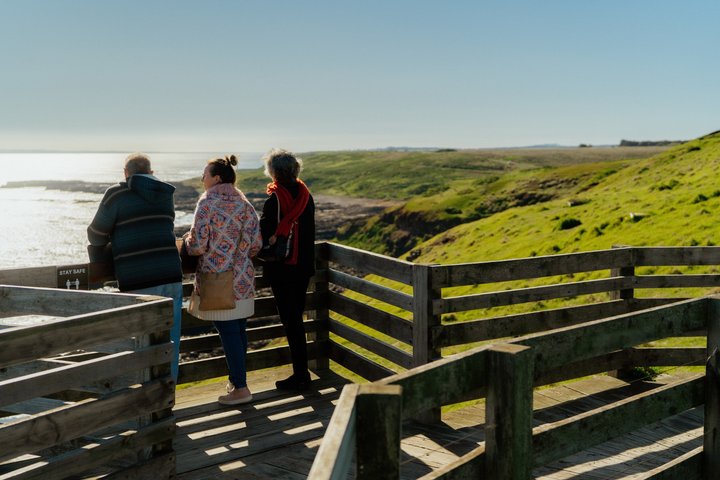 Phillip Island Penguin Parade & Wildlife Tour from Melbourne