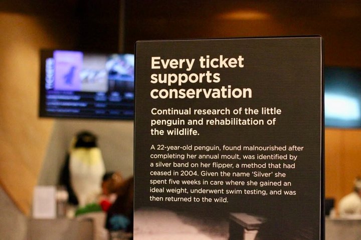 Phillip Island Penguin Parade & Wildlife Tour from Melbourne