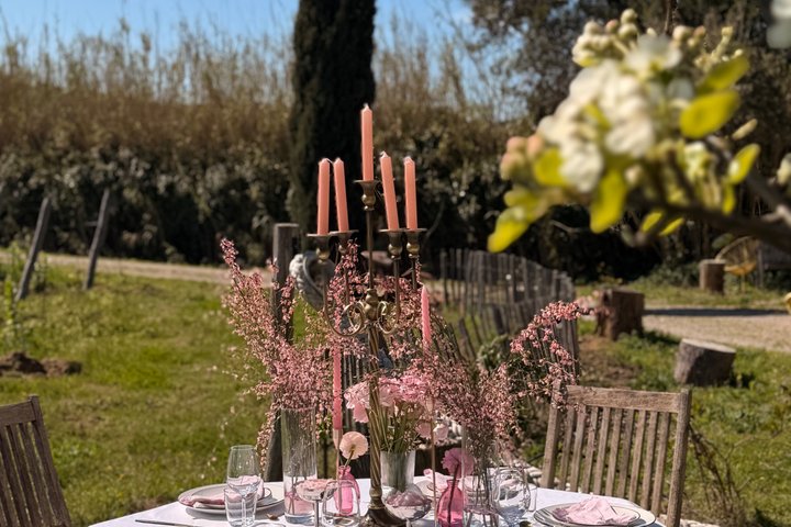 Dinner in the Vineyard Saint Tropez