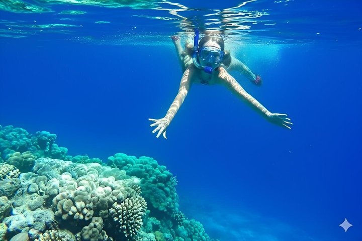 Tiran Island Snorkeling , Diving Cruise & Lunch - Sharm El Sheikh