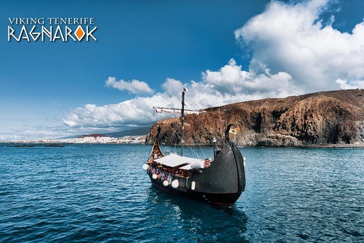 Tenerife Whale and Dolphin Watching + SWIM STOP