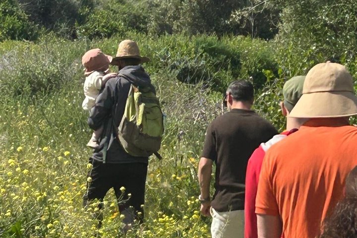 Essaouira Waterfall Hike & Coastal Walk with Tagine, Fishing