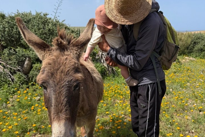 Essaouira Waterfall Hike & Coastal Walk with Tagine, Fishing