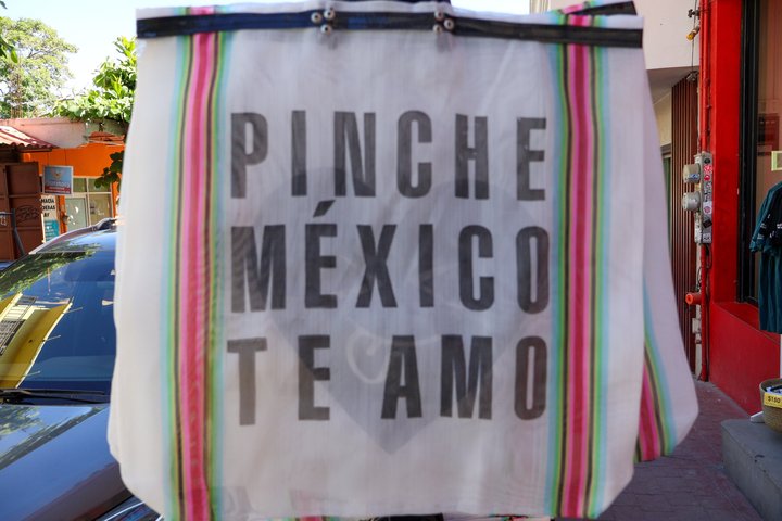 Sayulita and San Pancho Tour from Puerto Vallarta